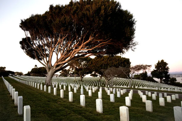 Cementerio Guerra Con Filas Tumbas Mármol Blanco Sobre Hierba Verde — Foto de Stock