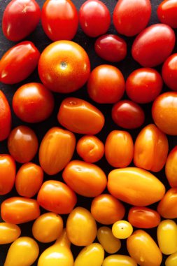 Kusursuz desenli. Kirazlı domatesler yavaş yavaş kırmızıdan turuncuya ve sarıya dönüşüyor. Gıda arkaplanı.