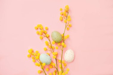 Pembe arka planda Paskalya yumurtaları olan Mimosa dalları. Mimoza ve kahverengi kağıt hediyeli bahar arkaplanı.