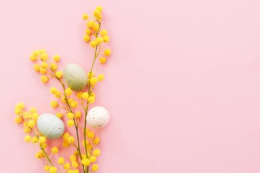 Pembe arka planda Paskalya yumurtaları olan Mimosa dalları. Mimoza ve kahverengi kağıt hediyeli bahar arkaplanı.