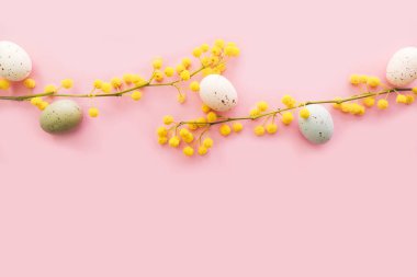 Pembe arka planda Paskalya yumurtaları olan Mimosa dalları. Mimoza ve kahverengi kağıt hediyeli bahar arkaplanı.