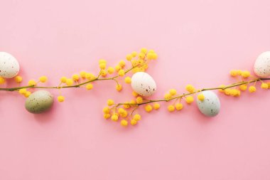 Pembe arka planda Paskalya yumurtaları olan Mimosa dalları. Mimoza ve kahverengi kağıt hediyeli bahar arkaplanı.