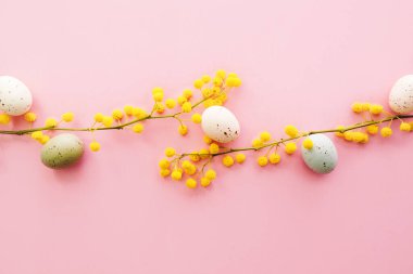 Pembe arka planda Paskalya yumurtaları olan Mimosa dalları. Mimoza ve kahverengi kağıt hediyeli bahar arkaplanı.