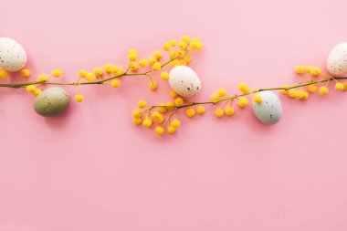 Pembe arka planda Paskalya yumurtaları olan Mimosa dalları. Mimoza ve kahverengi kağıt hediyeli bahar arkaplanı.