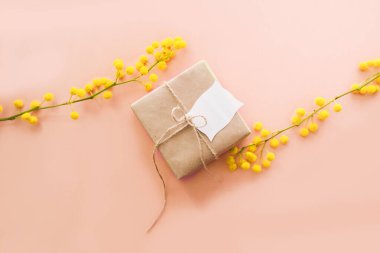 Pembe arka planda Paskalya yumurtaları olan Mimosa dalları. Mimoza ve kahverengi kağıt hediyeli bahar arkaplanı.