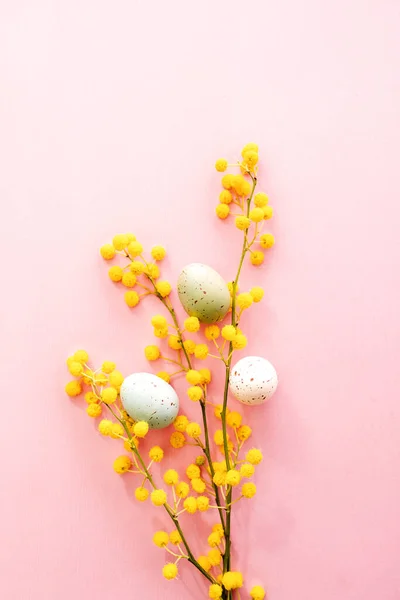 Mimosa Κλαδιά Πασχαλινά Αυγά Ροζ Φόντο Ανοιξιάτικο Φόντο Μιμόζα Και — Φωτογραφία Αρχείου