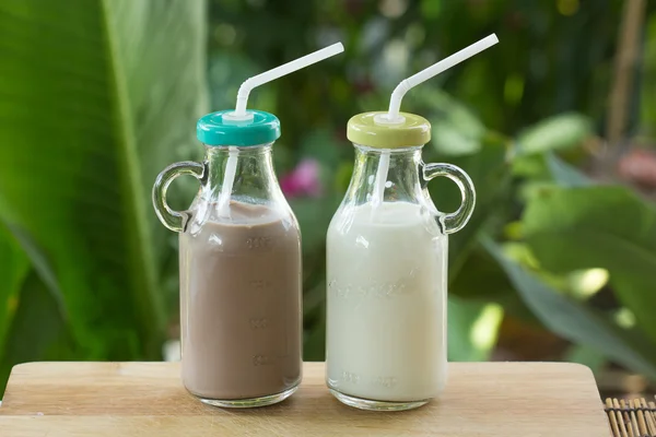 Glass of Chocolate and Fresh Milk — Stock Photo, Image