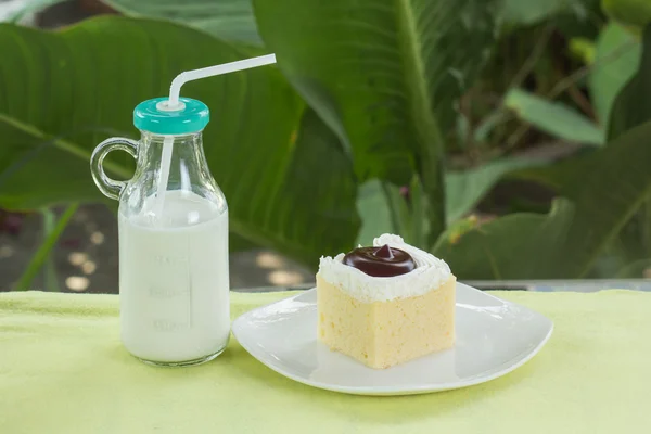 Blueberry cakk en verse melk — Stockfoto
