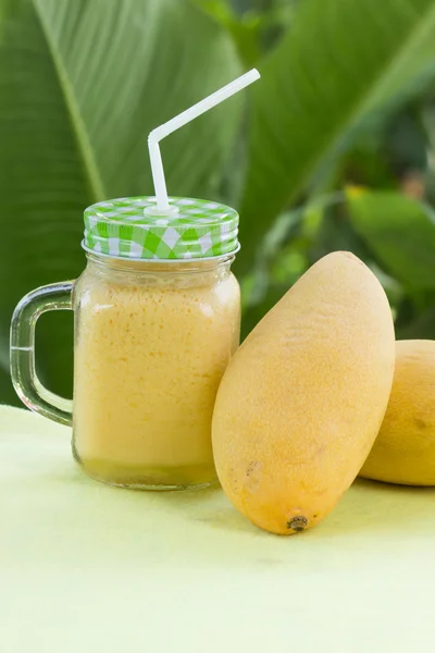 Tropisk frukt smoothies — Stockfoto