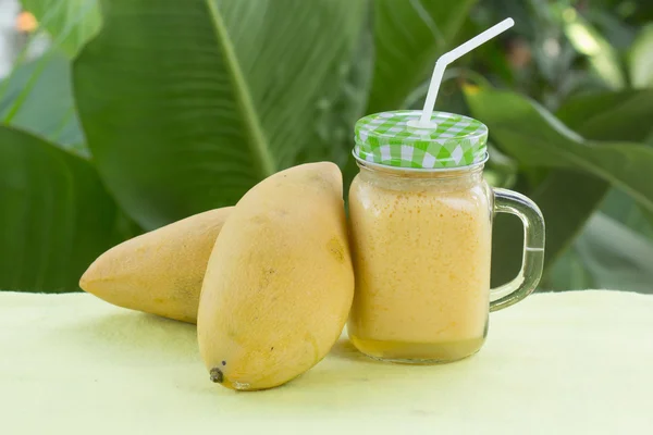 Tropisk frukt smoothies — Stockfoto