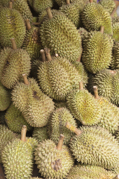 Группа дуриана
