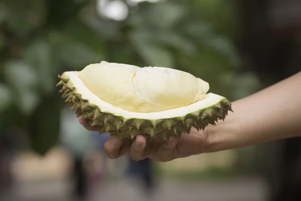 Durian on the hand ready to eat — Stock Photo, Image