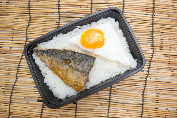 Pirinç Saba ve yavru yumurta — Stok fotoğraf