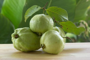 taze guava meyve