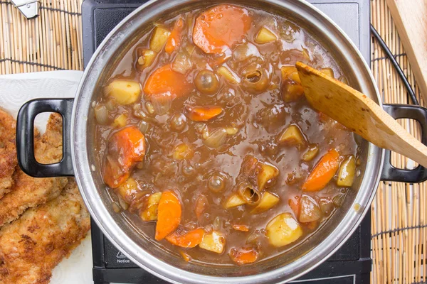 Carne di maiale giapponese al curry nel piatto — Foto Stock