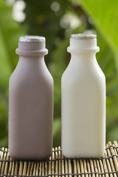 Plastic bottle of Chocolate and Fresh Milk — Stock Photo, Image