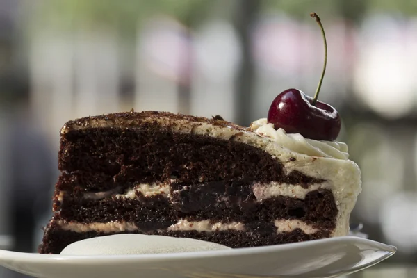 Black Forest Cake — Stock Photo, Image