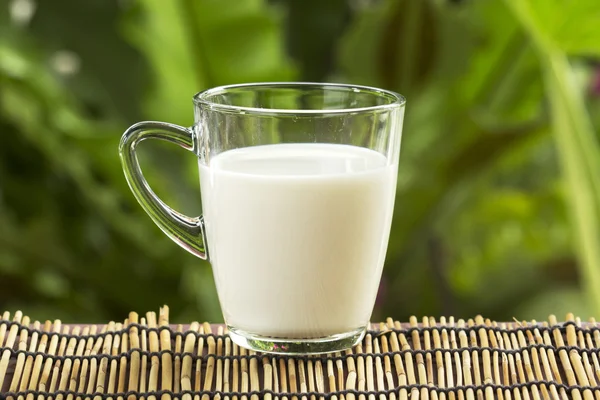 Glass of fresh milk — Stock Photo, Image