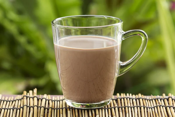 在一杯新鲜的巧克力牛奶 — 图库照片