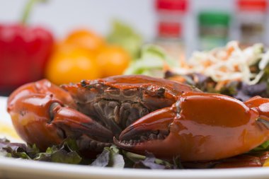 taze Buhar Kırmızı yengeç