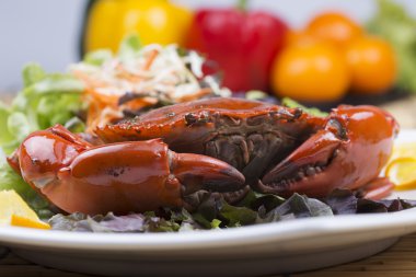 taze Buhar Kırmızı yengeç