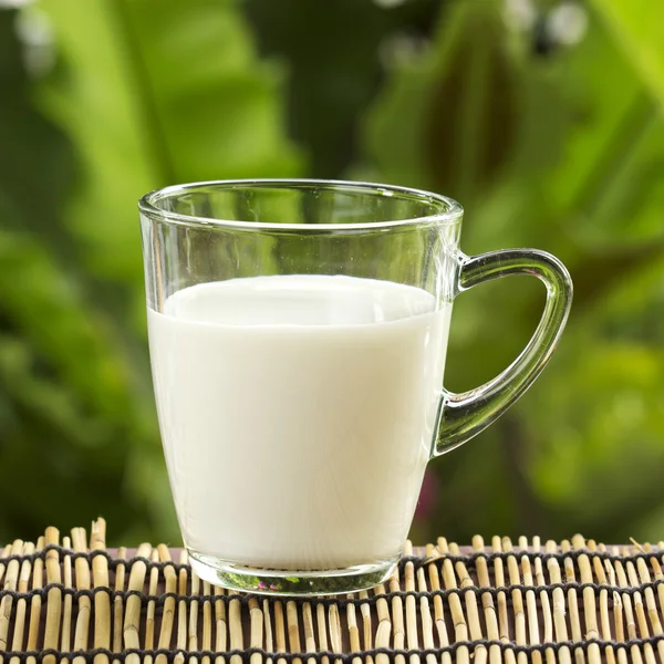 Glass of fresh milk — Stock Photo, Image