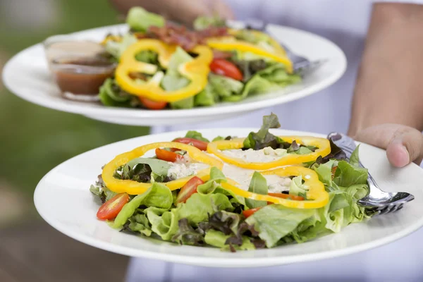 Две тарелки зеленого салата — стоковое фото
