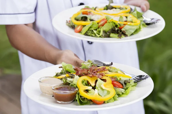 Zwei Teller mit grünem Salat — Stockfoto