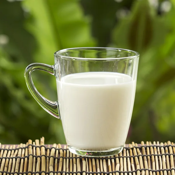 Glass of fresh milk — Stock Photo, Image