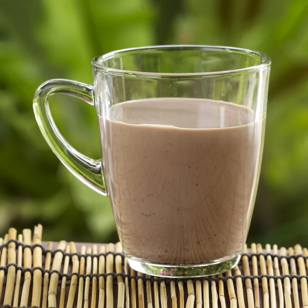 Leche de chocolate fresca — Foto de Stock