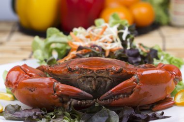 taze Buhar Kırmızı yengeç