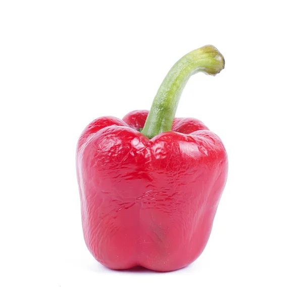 Peperoncino rosso — Foto Stock