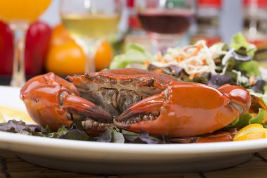 taze Buhar Kırmızı yengeç