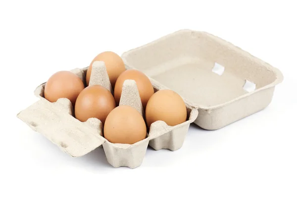 Paper Egg Tray — Stock Photo, Image