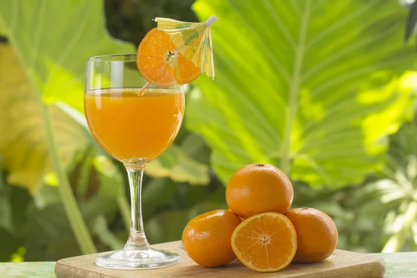 Orangensaft — Stockfoto