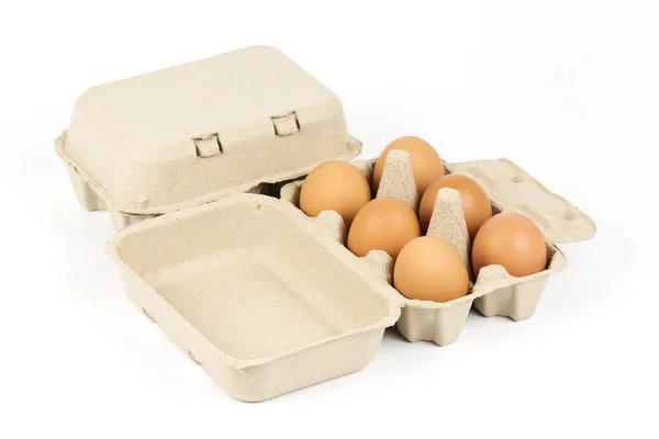 Paper Egg Tray — Stock Photo, Image