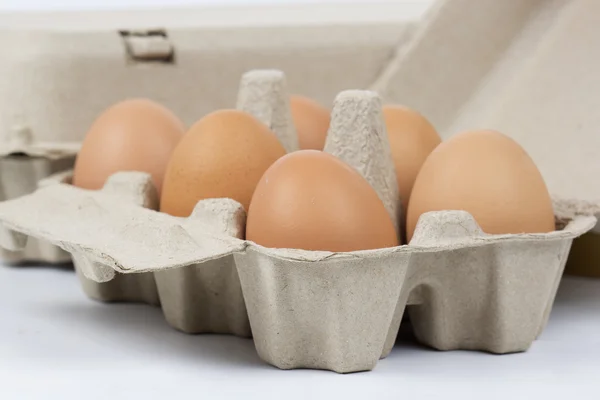 Paper Egg Tray — Stock Photo, Image