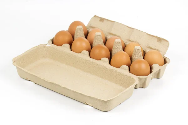 Paper Egg Tray — Stock Photo, Image