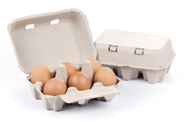 Paper Egg Tray — Stock Photo, Image