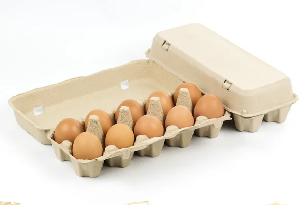 Paper Egg Tray — Stock Photo, Image