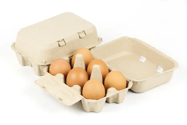 Paper Egg Tray — Stock Photo, Image