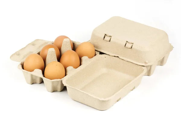 Paper Egg Tray — Stock Photo, Image