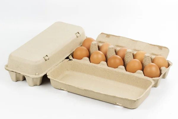 Paper Egg Tray — Stock Photo, Image