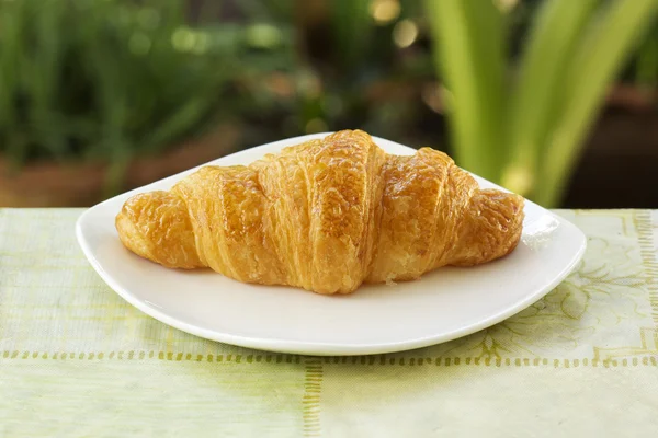 Croissant bröd — Stockfoto