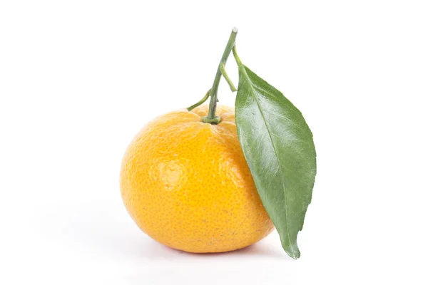 Orange fruit — Stock Photo, Image