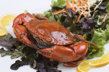 taze Buhar Kırmızı yengeç