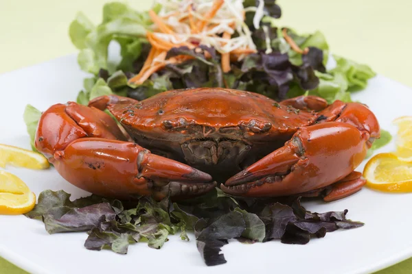 Fresh Steam red crab — Stock Photo, Image