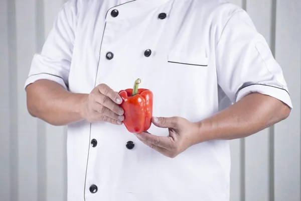 Koch hält rote Paprika in der Hand — Stockfoto