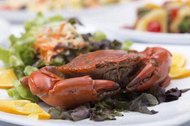 taze Buhar Kırmızı yengeç