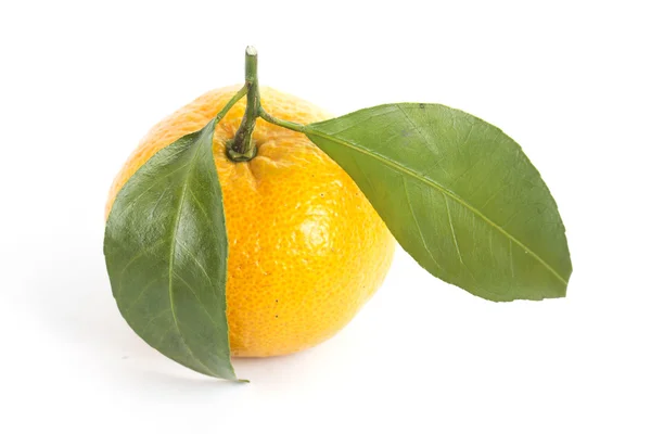 Orange fruit — Stock Photo, Image